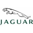 Jaguar (13)